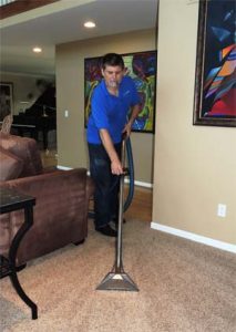 yelp carpet cleaning troy il